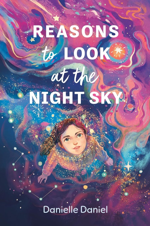 Cover of Reasons to Look at the Night Sky by Danielle Daniel